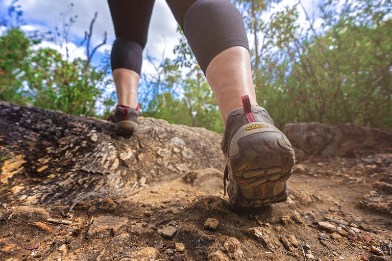 Dwellingup: Pack &#039;n&#039; Paddle Self-Guided TourPer person