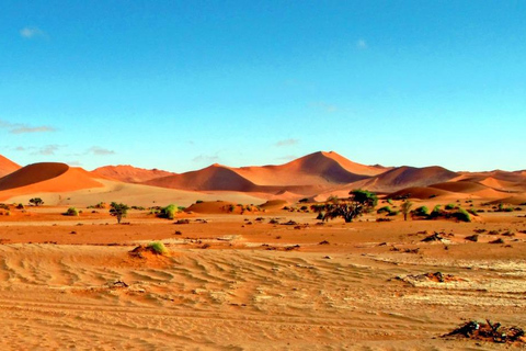 10 Days Taste of Namibia | Auto Tour Camping