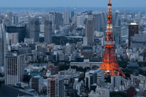 Tour Privado Personalizado de Tokio de Día Completo 23 Ward