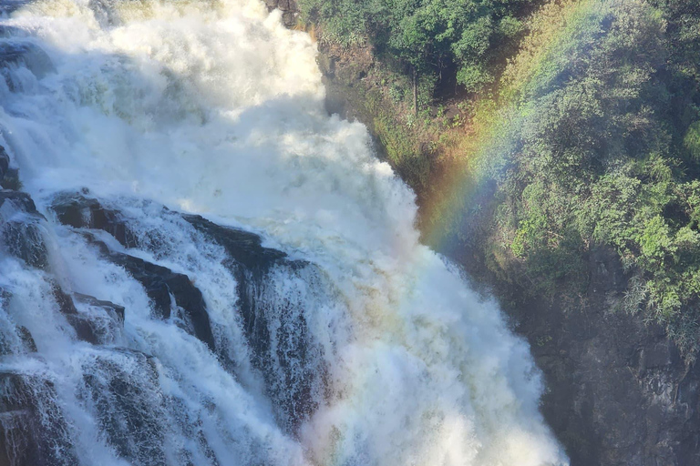 Victoria falls: full day transfer + private guided tour