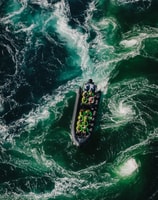 Bodø, RIB à Saltstraumen avec un safari d'aigle marin - Hizvo