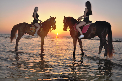 DJERBA : Private Horse Riding (2h).