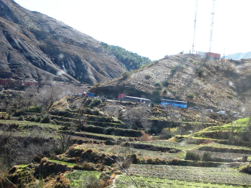 Valle del Paraíso Excursión con almuerzo desde Agadir o Taghazout