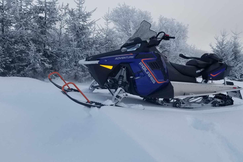 Ciudad de Quebec: Excursión guiada en moto de nieve1,5 horas de alquiler guiado de moto de nieve