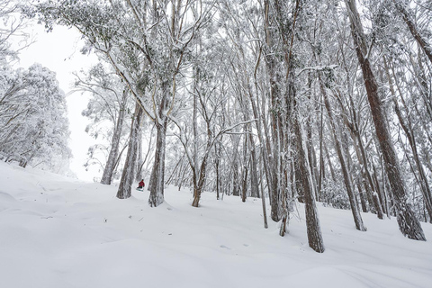 From Melbourne: Day Tour to Mt Buller with Snow Clothes