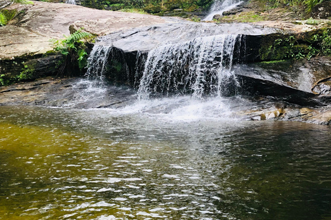 Paraty 3-in-1 Jeep Tour: Beach, Island, and Unmissable Waterfall