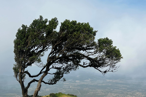 Da Nairobi: Avventura a piedi sulle colline di Ngong