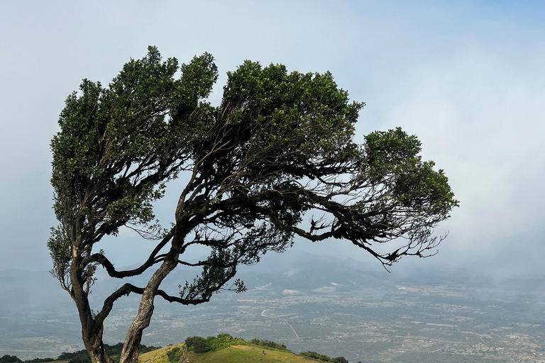 Da Nairobi: Avventura a piedi sulle colline di Ngong