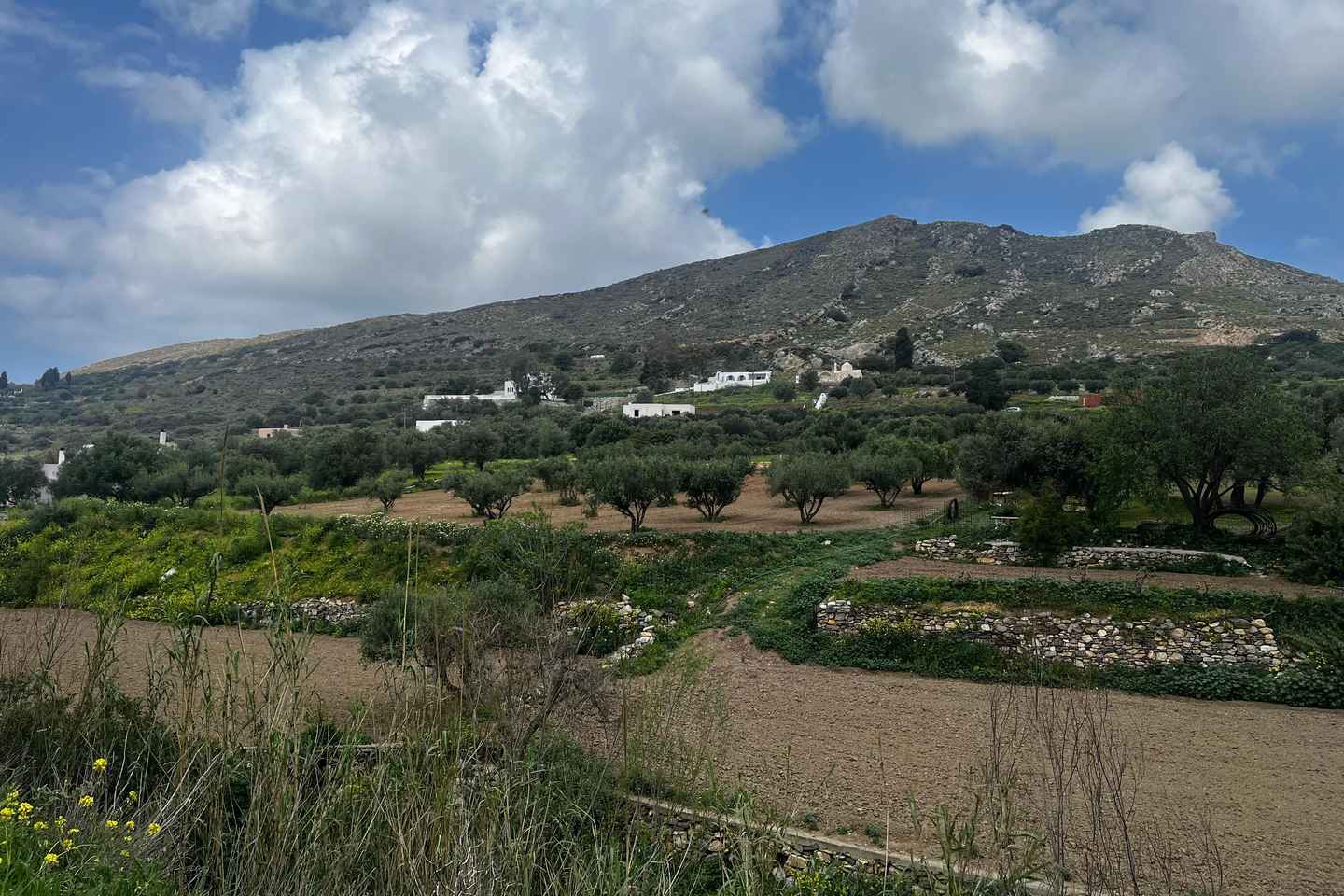 Naxos: Tour del Villaggio di Melanes con Degustazione di Formaggi e Pranzo
