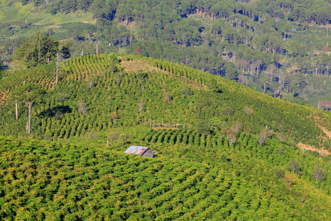 Découvrez le meilleur de la campagne de Dalat (voiture privée)