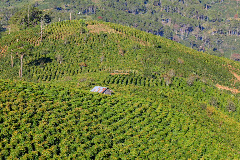 Découvrez le meilleur de la campagne de Dalat (voiture privée)