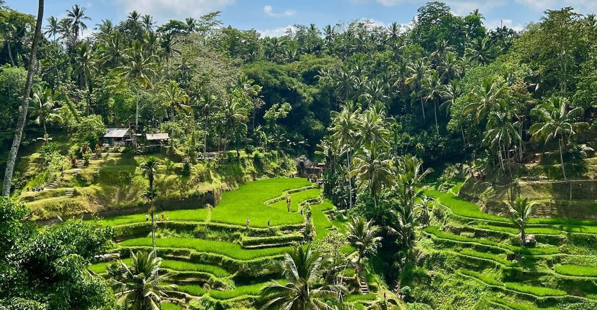 Tirta empul timple, chute d'eau et explorer la terrasse de riz - Hizvo