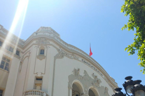 Tunis VIP Tour: Comfort, Fun & Best Value All-in-One !! Tunis : WITHOUT Pick-Up WITHOUT inclusions (Not Recommended)