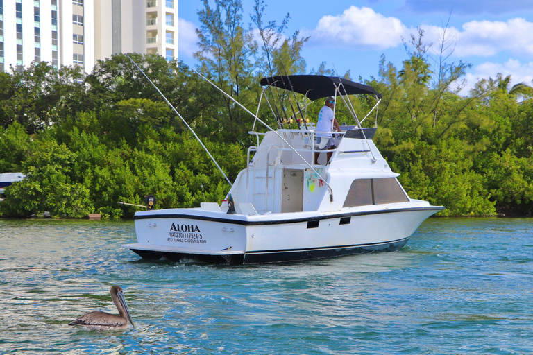 Private fishing charter 31 feet for maximun 6 people 2 hours Private fishing charter 31 feet for maximun 6 people