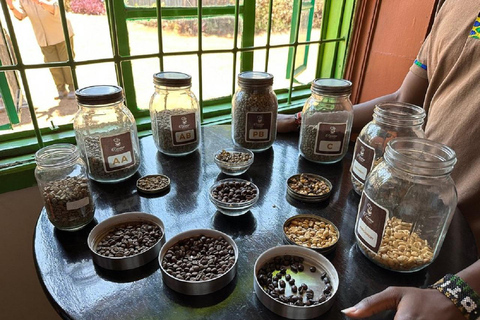 Nairobi: Fairview Coffee Estate Tour with Coffee Tasting