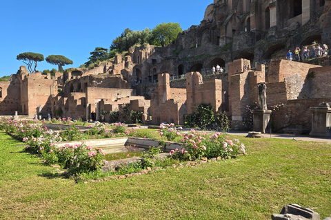 Rome: Colosseum, Roman Forum, and Palatine Hill Guided Tour Small Group