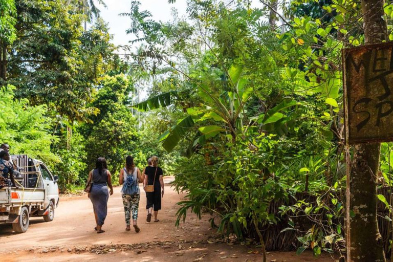 DE NUNGWI: CIDADE DE PEDRA, EXCURSÃO À QUINTA DE ESPECIARIAS E ILHA PRISONAL