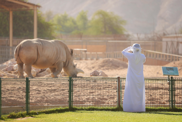 Biglietto d'ingresso per lo Zoo di Al Ain