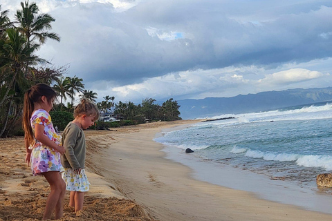 Oahu: North Shore Beaches, Turtles, and Dole Plantation Tour