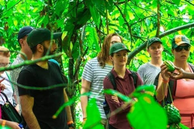 Zanzibar: Private Jozani Forest Tour with Local Guide.