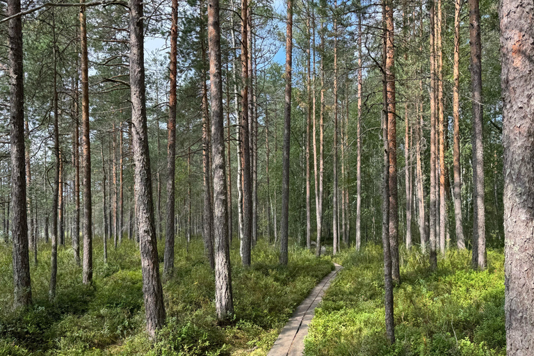 Helsinki: Nuuksio National Park Hike with Lunch & Pickup