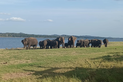 From Kandy: Udawalawe Safari and Mirissa Drop by Local