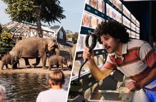 Amsterdam: Königlicher Zoo ARTIS & ARTIS-Micropia – Kombiticket