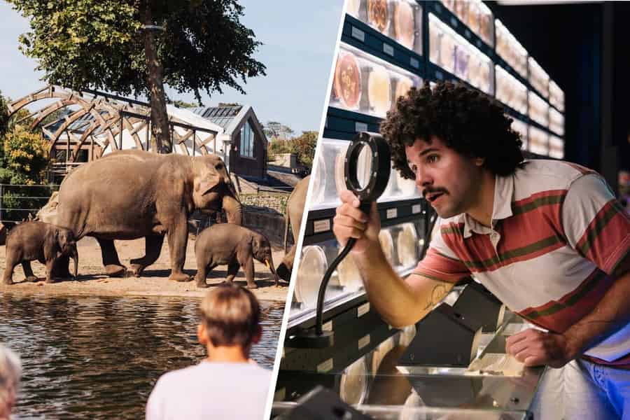 Amsterdam: Artis Royal Zoo & ARTIS-Micropia Combo Ticket
