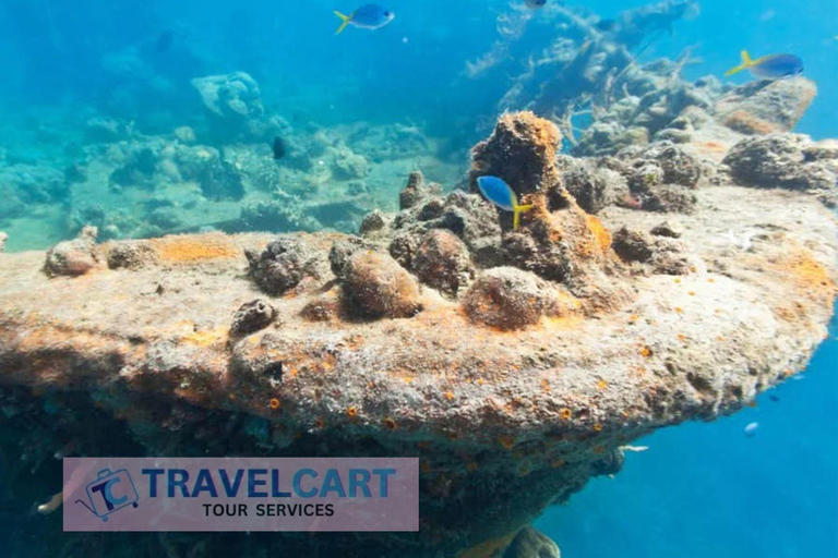 Excursión a los Arrecifes y Pecios de Coron