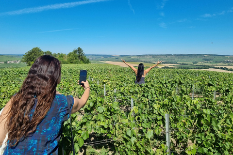 Experiência nos vinhedos de Champagne: Mergulhe no terroirExperiência no vinhedo de Champagne em inglês