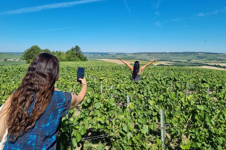 L'expérience du vignoble de Champagne : Plongez dans le terroirExpérience dans les vignobles de Champagne en anglais