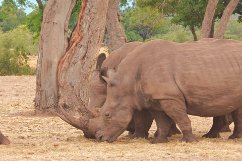 Livingstone Mosi-oa-Tunya 4x4 Rhino Tracking and Lunch