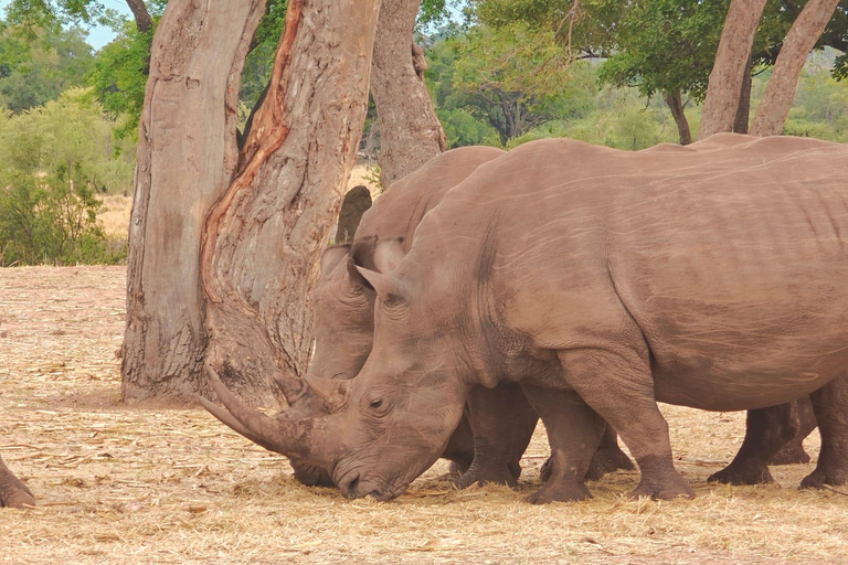 Livingstone Mosi-oa-Tunya 4x4 Rhino Tracking and Lunch