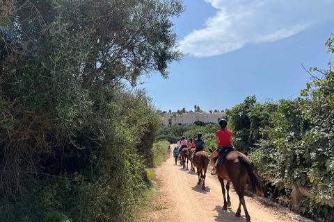 Menorca: 45-minute horse riding tour through the Son Boter Valley