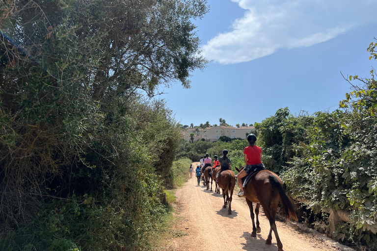 Menorca: 45-minute horse riding tour through the Son Boter Valley