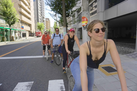 Tour de E-Bike em Osaka com um guia localPasseio de E-Bike em Osaka