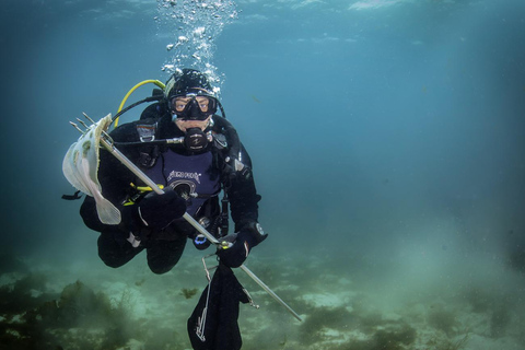 Bergen: Buceo guiadoBergen: Experiencia guiada de submarinismo