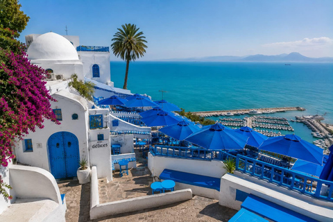 From Hammamet & Sousse: Medina, Carthage & Sidi Bou Said