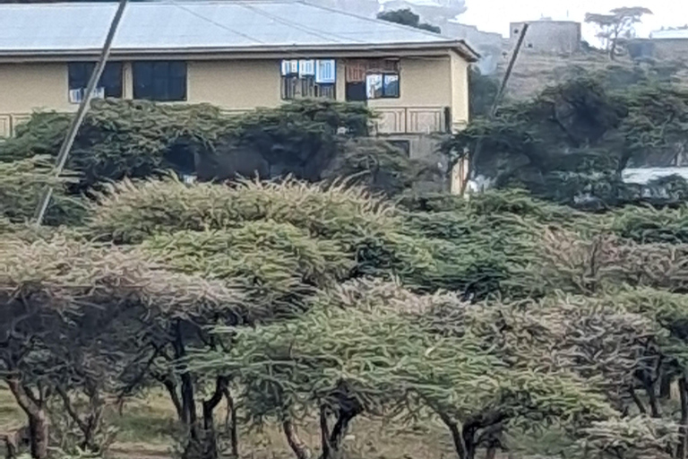 From Addis Ababa: 3-Day Wenchi Lake & Debre Libanos Tour