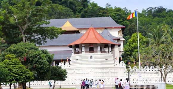 From Bentota/Kalutara: Magical Journey to Kandy & Pinnawala