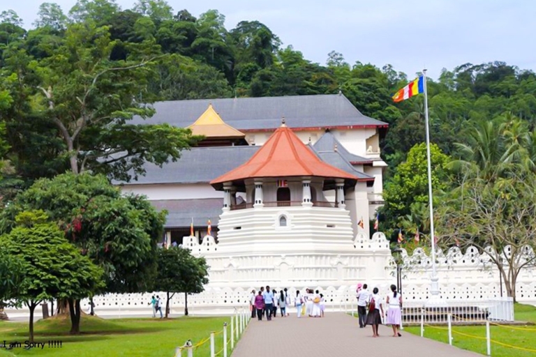 Magische reis naar Kandy en Pinnawala vanuit Colombo/NegomboVolledige dagtour naar Kandy en Pinnawala vanuit Kalutara / Waskaduwa