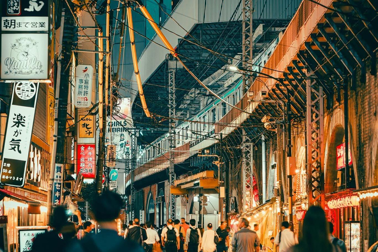 Tokyo Private Sightseeing Tour Customizable with Guide