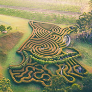 Herons Creek: Bago Maze Entry Ticket