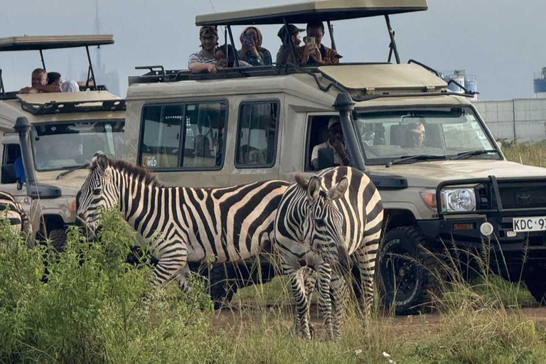 Nairobi: National Park Half-Day Safari with Hotel Pick-Up