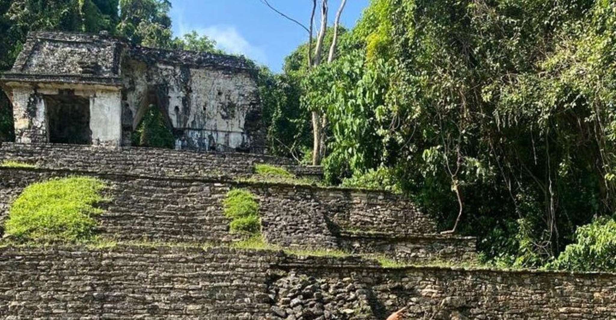 Palenque Archaeological Site from Palenque - Housity