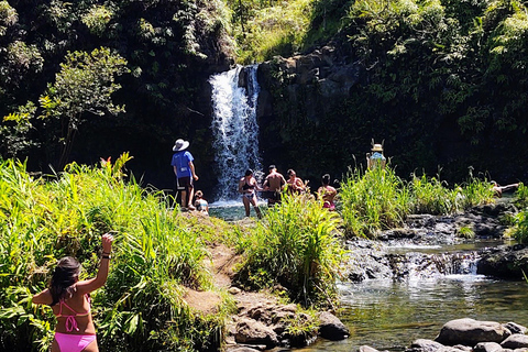 Maui: Halfway to Hana Black Sand Beach & Turtles Tour