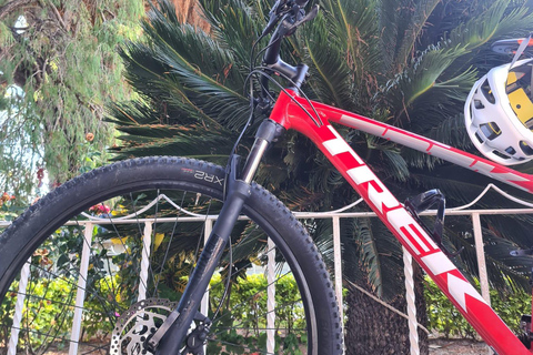 MTB Bike Tour: Tule Tree through the country-side