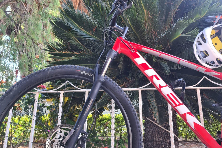 MTB Bike Tour: Tule Tree through the country-side