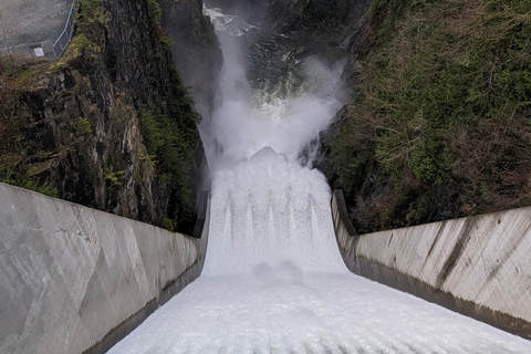 Grouse Mnt+StanleyPark+Hatchery+Cleveland Dam+LynnCanyonTOUR Shared Tour