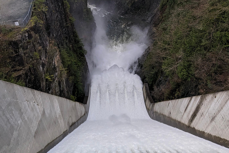 Grouse Mnt+StanleyPark+Hatchery+Cleveland Dam+LynnCanyonTOUR Shared Tour